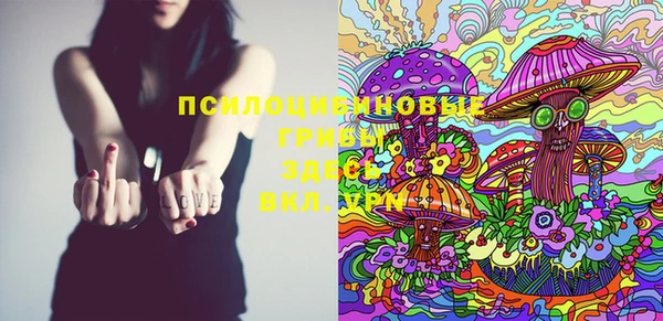 винт Няндома