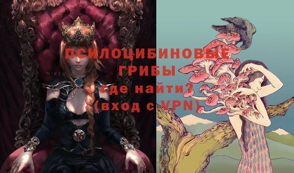 стафф Абаза