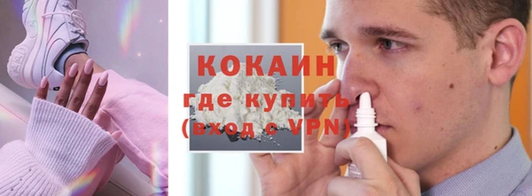 винт Няндома