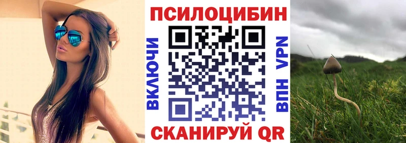 наркота Каменногорск shop как зайти Псилоцибиновые грибы Magic Shrooms
