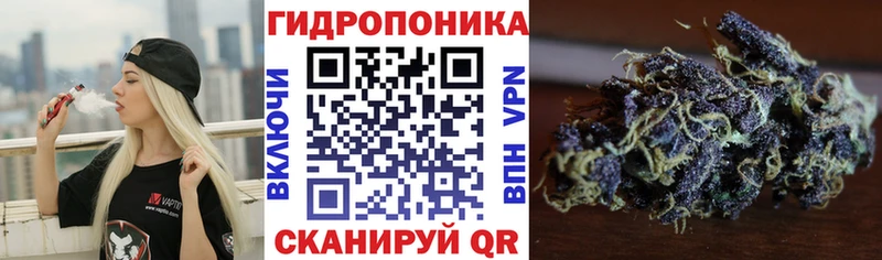 маркетплейс какой сайт  купить наркотики цена  Каменногорск  Конопля марихуана 